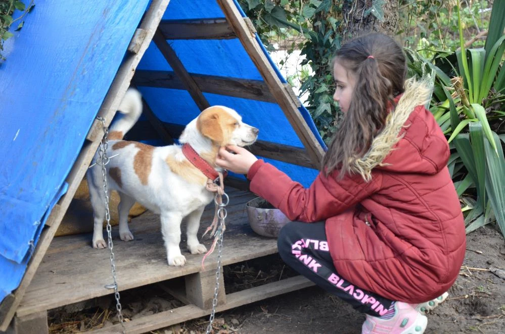 8 yaşındaki Cemre köpeğini veterinere sırtında götürdü