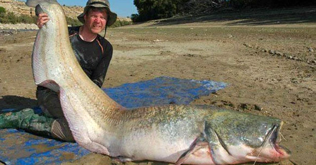 24 yıllık sır çözüldü! Canavar mı?