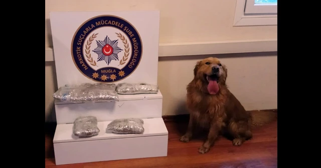 100 bin lira değerinde uyuşturucu ele geçirildi