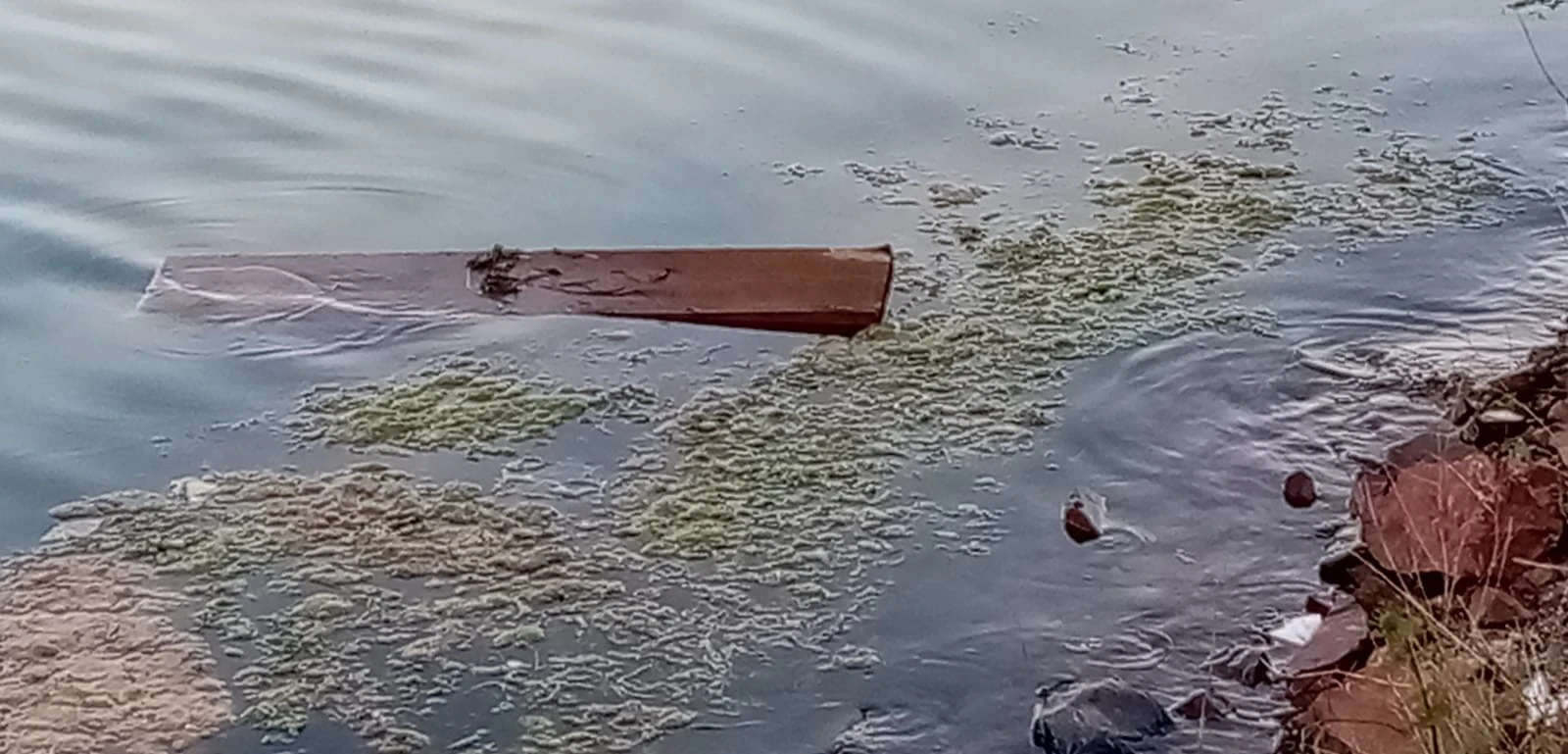 Denizden odun toplarken kalp krizi geçirdi