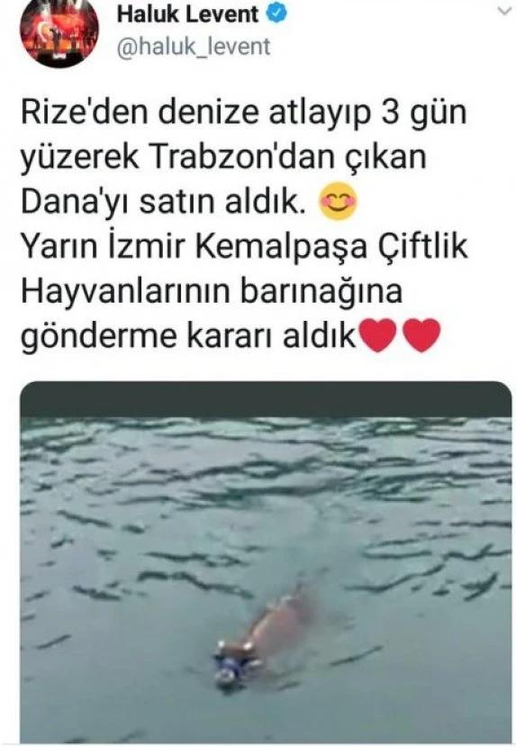 Haluk Levent'ten alkışlanacak hareket