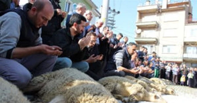 Aynı mahalleden aynı isimde 4 kişi öldü