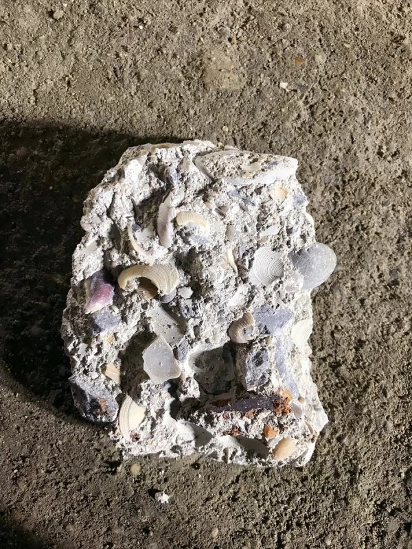 Kartal'da çöken binanın enkazından çıkan deniz kabukları facianın nedenini aydınlattı