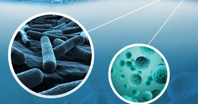 Amipli Dizanteri Nedir? Amipli Dizanteri İshal Kaç Gün Sürer?