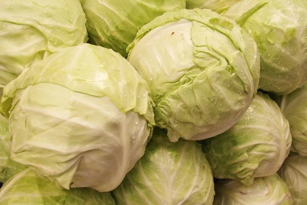 Beyaz Lahana Faydaları Lahana Hangi Hastalığa İyi Gelir?