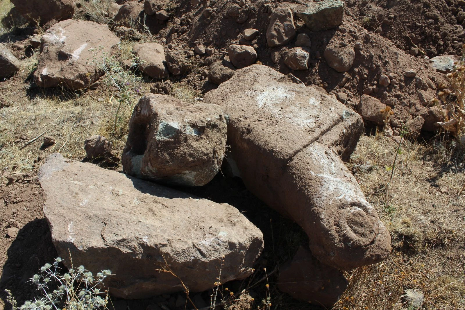 Erzurum’da koç başlı mezar taşları bulundu