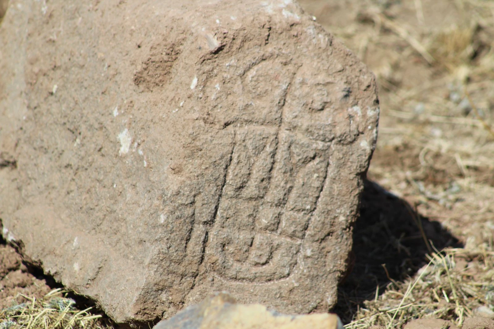 Erzurum’da koç başlı mezar taşları bulundu