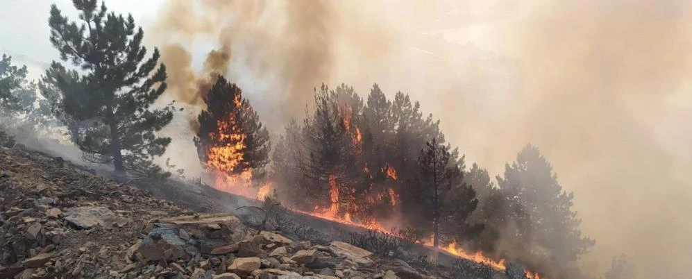 Elazığ’da korkutan orman yangını: Çok sayıda ekip sevk edildi