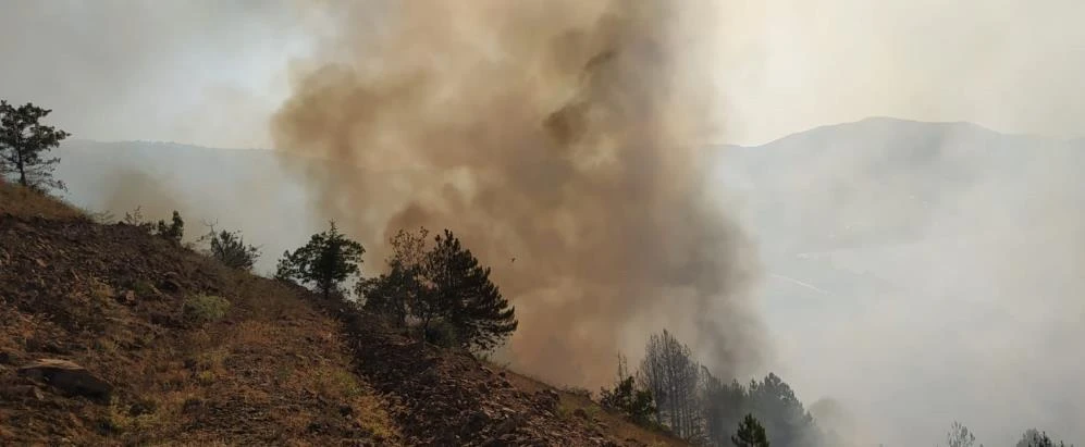 Elazığ’da korkutan orman yangını: Çok sayıda ekip sevk edildi