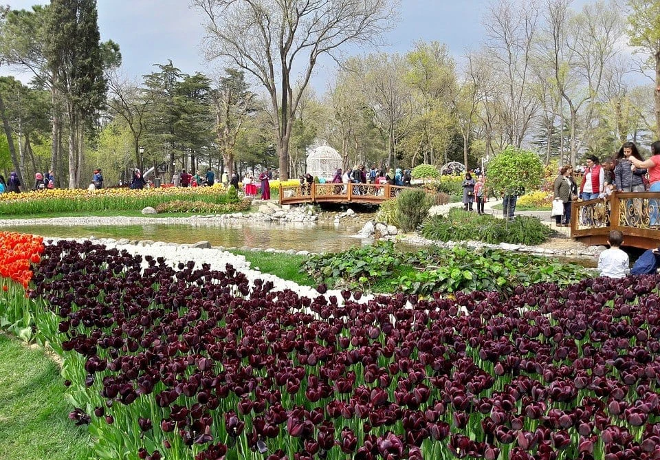 İstanbul’da Nereler Gezilir? İstanbul'da Gezilecek Yerler