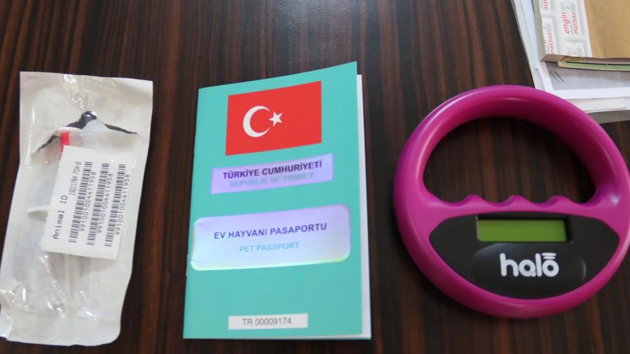 Evcil hayvanlar için yeni kimlik şartları: Yapılmazsa cezası çok ağır