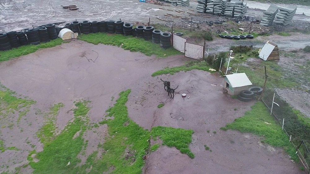 İstanbul'da dehşet çiftliği