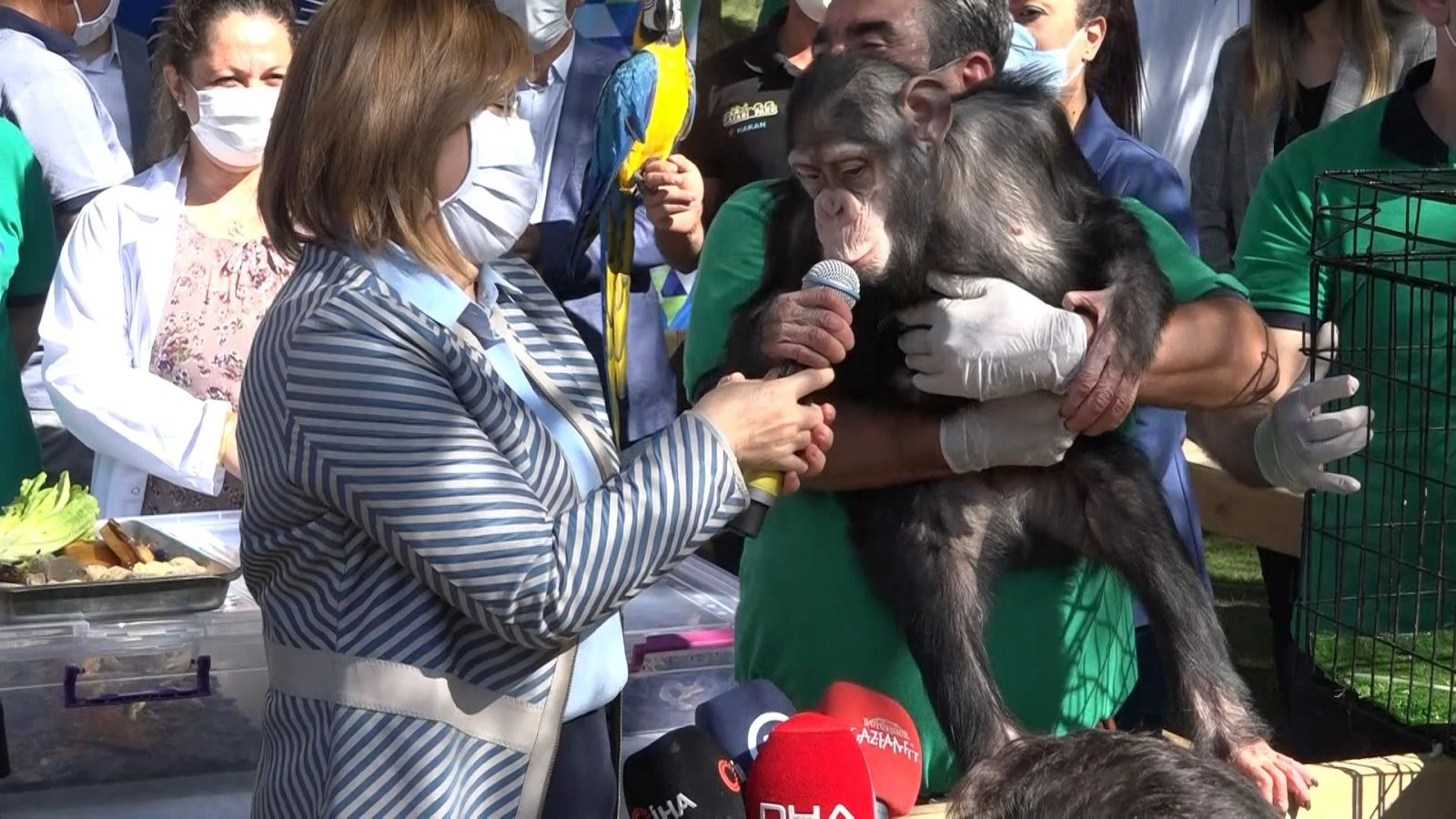 Fatma Şahin'e maymun şoku