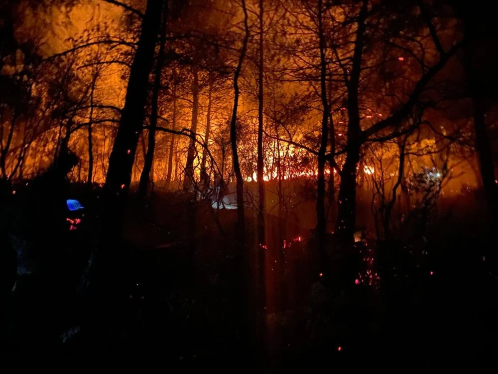 Fethiye'de orman yangını: Kovayı kapan ormana yardıma koştu