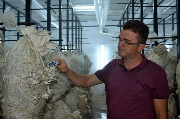 Eski açık cezaevi mantar üretim tesisi oldu