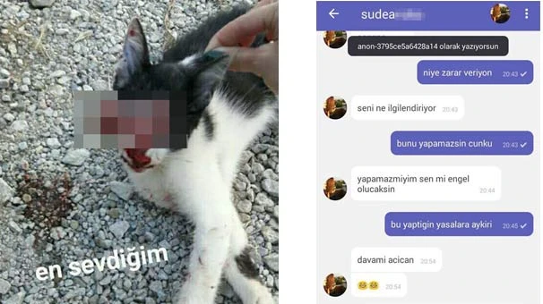 Biri bu vahşete 'dur' desin! Bu kez derisi yüzülmüş...