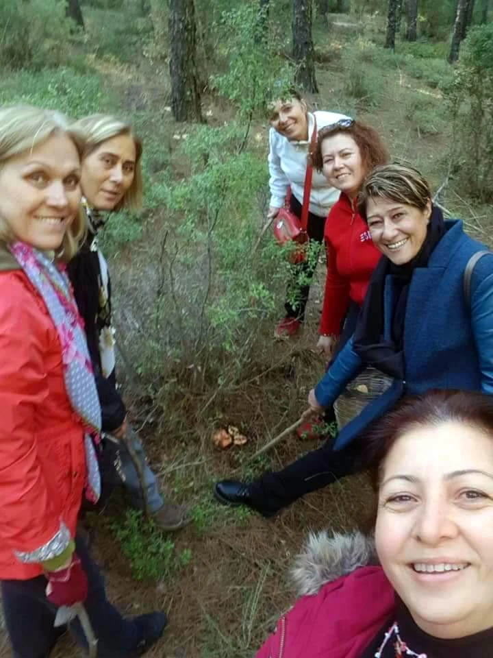 Fiyatını duyan ormana koştu