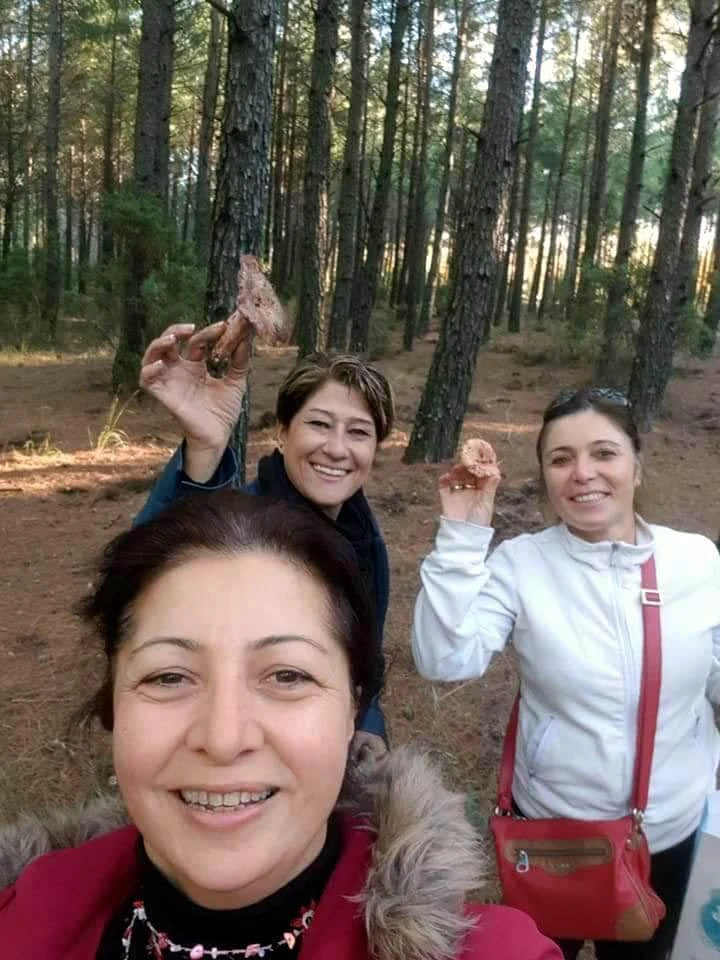 Fiyatını duyan ormana koştu