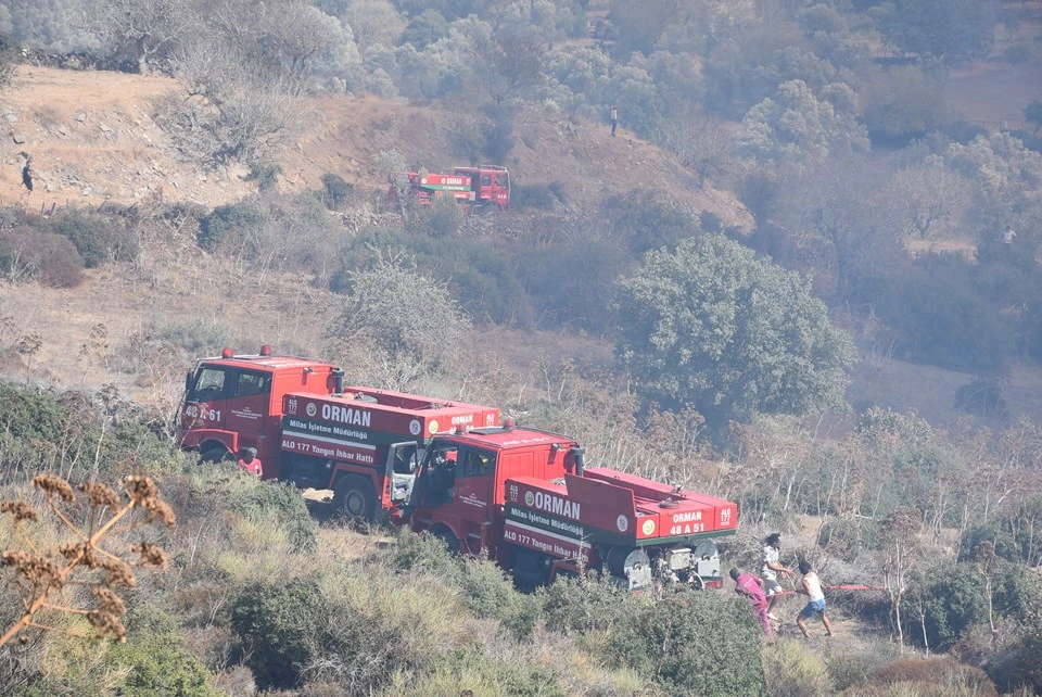 Bodrum'da korkutan yangın