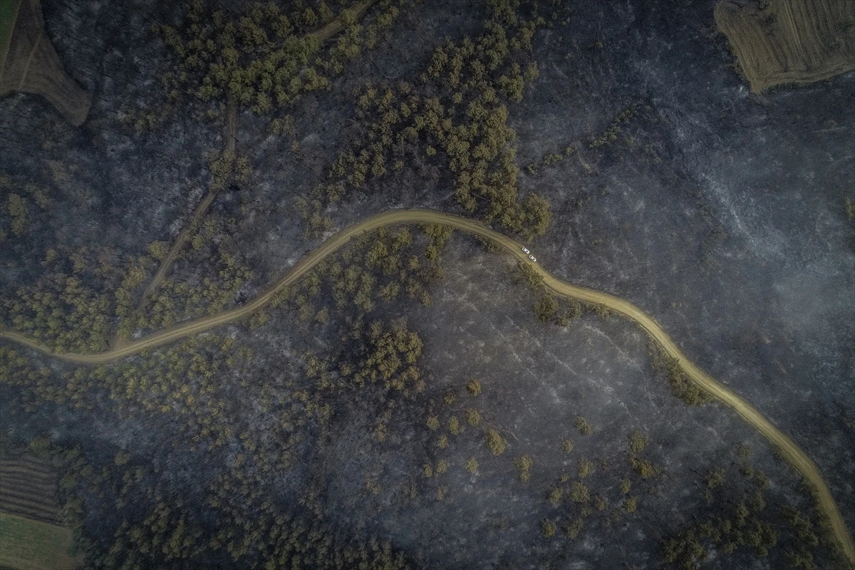 Gelibolu Yarımadası'ndaki orman yangınına havadan müdahale yeniden başladı