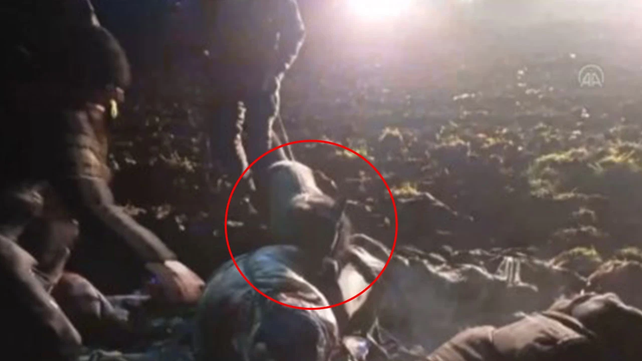 Göçmenlere vahşice müdahale: Önce dövdüler sonra üzerlerine köpek saldılar