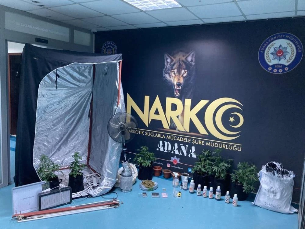 Yatak odasındaki bez gardıroptan “uyuşturucu serası” çıktı