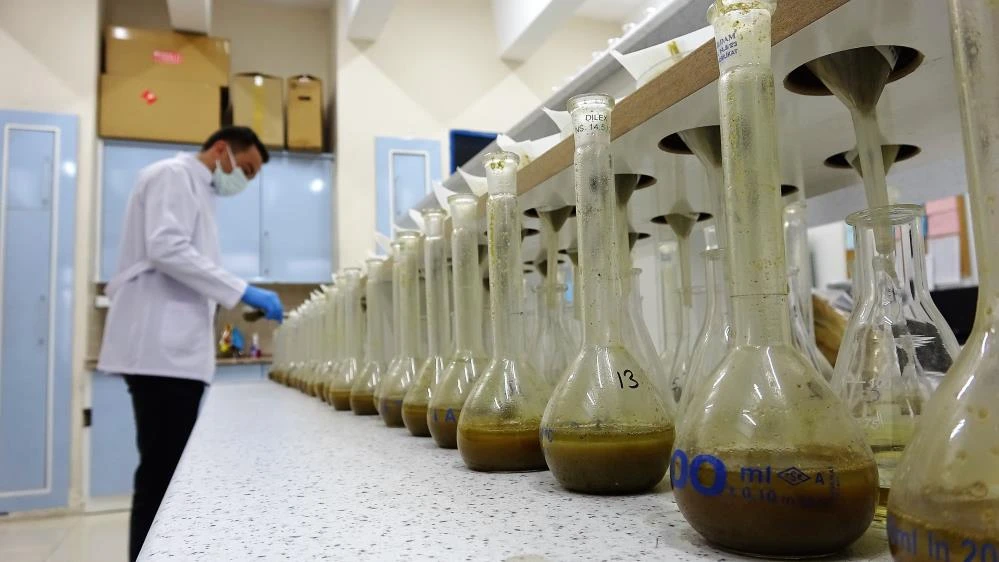 Türkiye’nin ilk milli hibrit tütünü geliştirildi