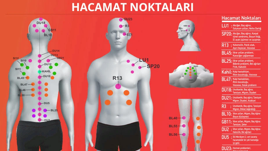 Hacamat Noktaları