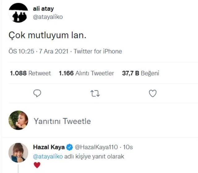 Ali Atay paylaştı, takipçileri 'Fiko'ya kardeş geliyor' dedi! Hazal Kaya hamile mi?