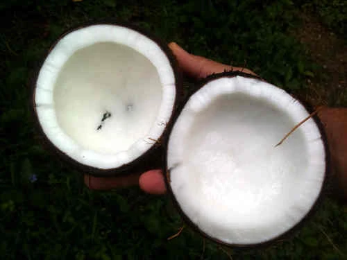 Sivilce Lekelerine Çözüm Evde Maske Doğal Sivilce Maskeleri