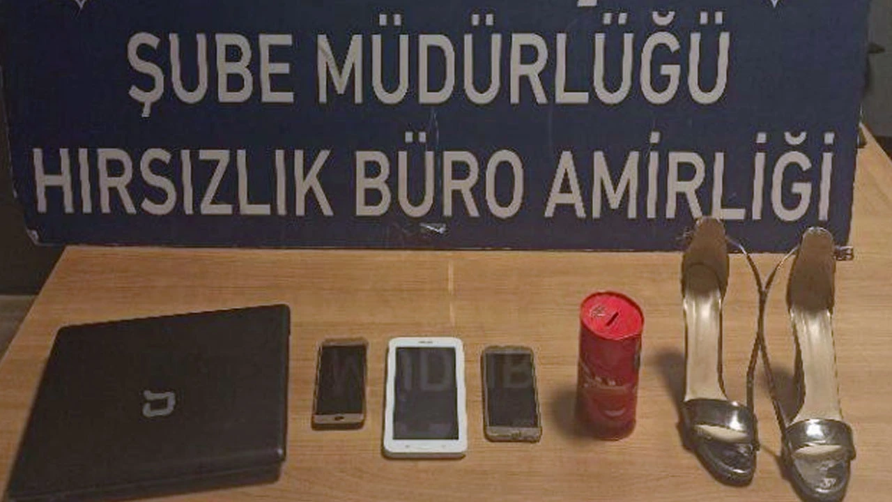 Pes dedirten hırsızlık: Evi soyup kediyi çaldılar