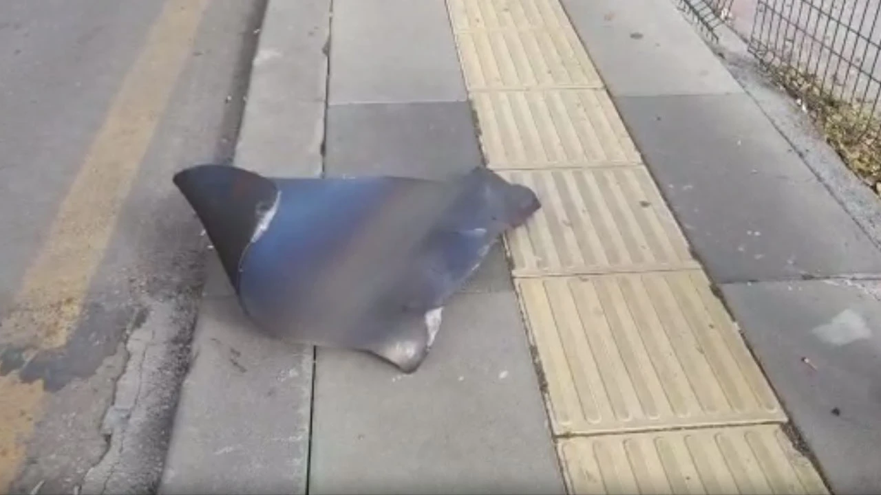 Son dakika: Başkent’te MTA bahçesinde doğal gaz patlaması