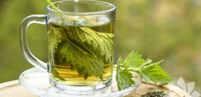 İdrar yolu enfeksiyonuna ne iyi gelir?