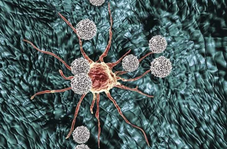 Immünoterapi Hangi Kanser Hastalarına Uygulanır? Kanserde Bağışıklık Tedavisi (İmmünoterapi)