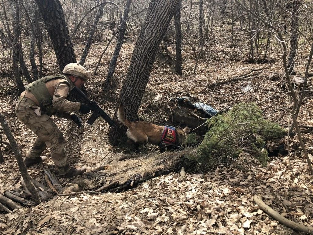 İçişleri Bakanlığı: İlkbahar-Yaz Operasyonları başladı