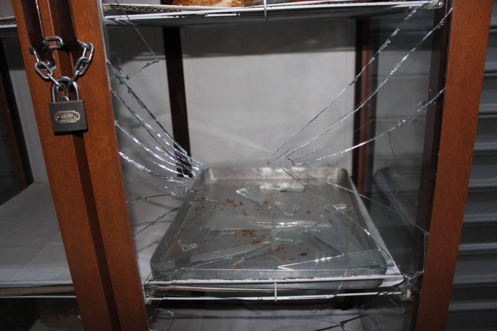 Köpekler aç kalmasın diye ekmek dolabının camını kırdı