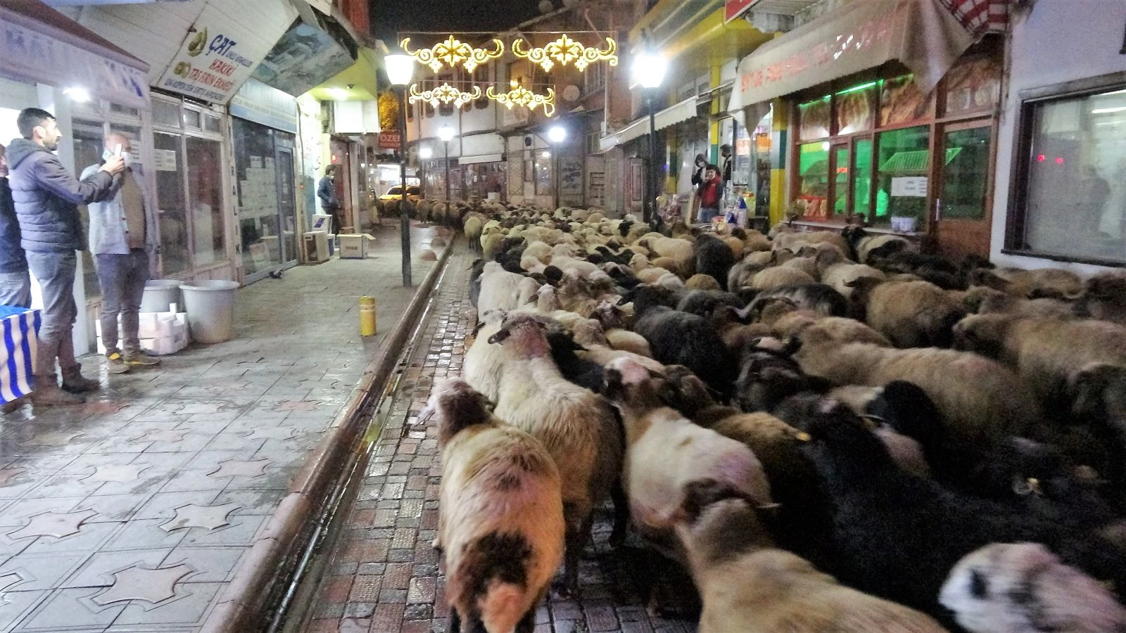 Trafik durdu, koyun sürüsü geçti