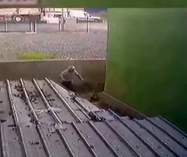 İstanbul'da köpeğe işkence: Art arda sopayla vurdu