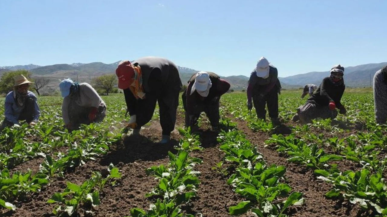 Aile Bakanlığından Meclis'e ezber bozan teklifler: Evli ve bekarlara farklı vergi