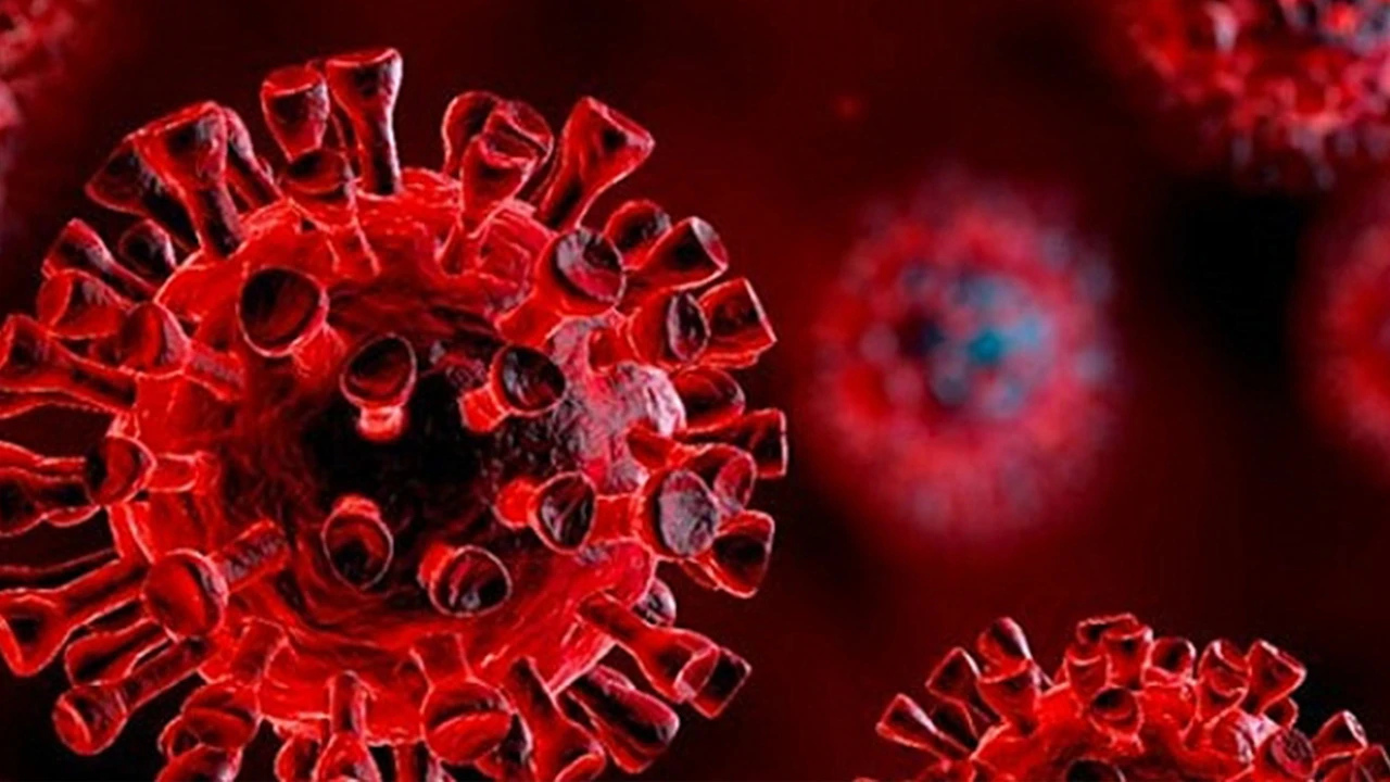 Koronavirüsün omicron ve delta varyantı ile grip arasındaki farklar/benzerlikler neler? Omicron ve nezle farkı nasıl anlaşılır?