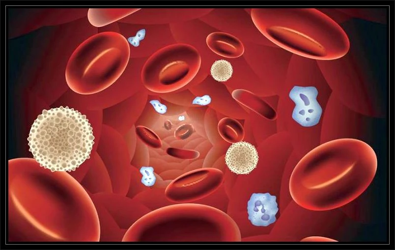 Kan değerleri neden düşer? Kan değerleri düşmesi ne anlama gelir ve nedir?