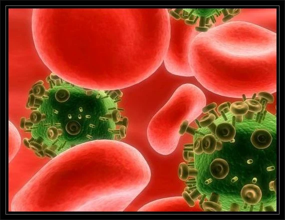 Kanda mikrop çıkması, kanda mikrop, kanda enfeksiyon nedir