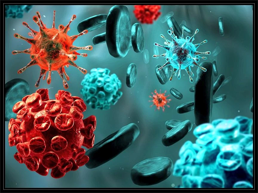 Kanda mikrop çıkması, kanda mikrop, kanda enfeksiyon nedir