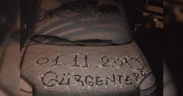 Ordu’da kar yağışı