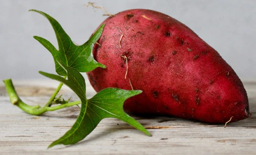 Karbonhidrat Nelerdir Hangi Besinlerde Bulunur? Yararları ve Zararları