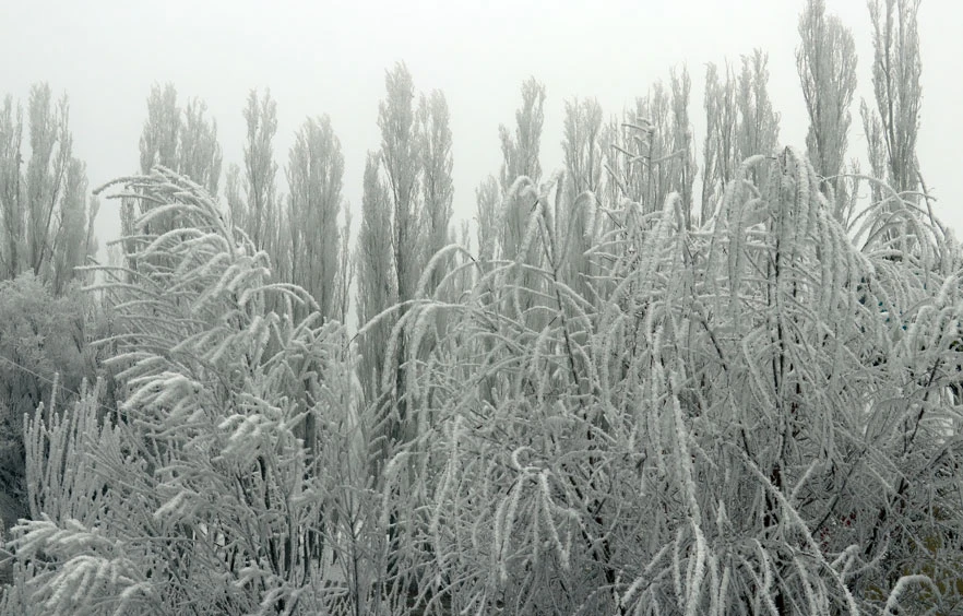 Tarih verildi! İstanbul'a kar geliyor (15 Aralık hava durumu)
