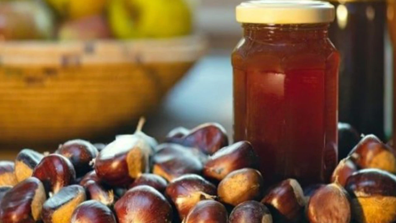 Kestane balı faydaları nedir, nerede yetişir? Kestane balı diyarı Zonguldak'ta bal fiyatları...