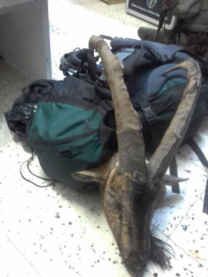 Koruma altındaki keçiyi avladılar, 13 bin lira ceza aldılar