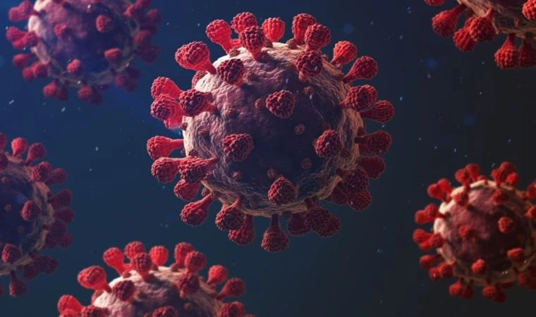 Koronavirüsü ağır atlama riskini artından gen bulundu! Erken teşhise yardım edecek