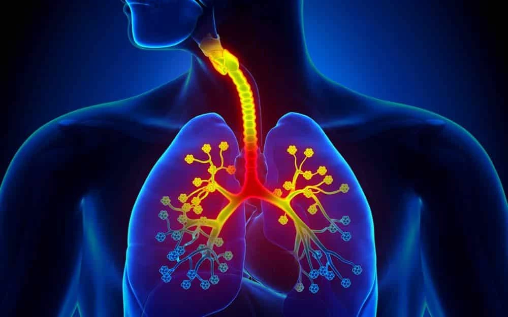 Kronik hastalık çeşitleri nelerdir?